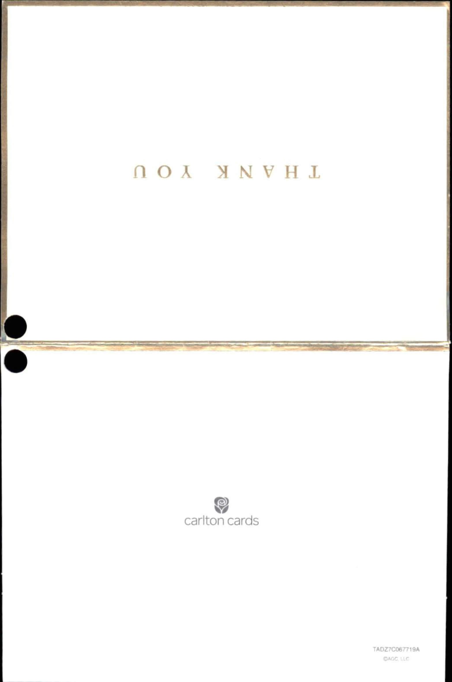 Color0009-2.jpg